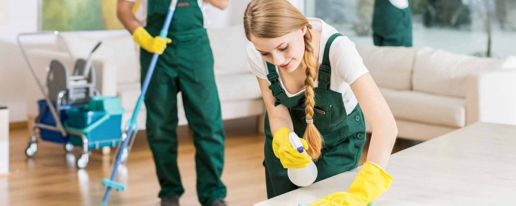 Digital Marketo Moved To Their Pro Web Siteniz